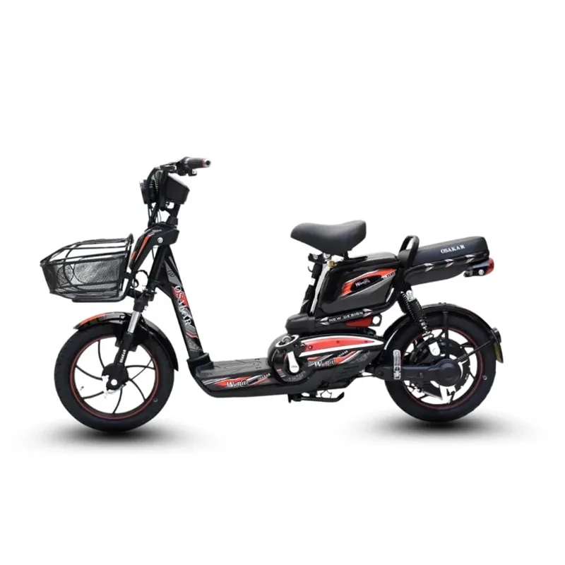 xe đạp điện trả góp