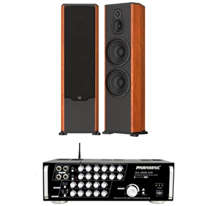 BỘ ĐÔI LOA NGANG PARAMAX FX2500+AMPLY SA999AIR PLUS, bo doi loa ngang paramax fx2500+amply sa999air plus