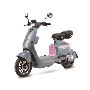 XE ĐẠP ĐIỆN DETECH ESPERO WEEZEE PLUS, xe dap dien detech espero weezee plus