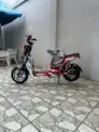 XE ĐẠP ĐIỆN HONDA S10
