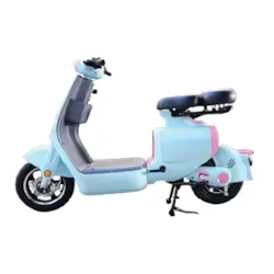 XE ĐẠP ĐIỆN DRACA VC, xe dap dien draca vc