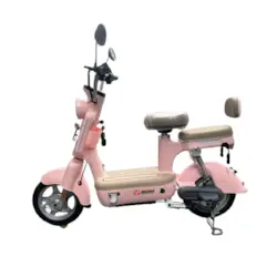 XE ĐẠP ĐIỆN SHUNQIHANG 350W MÀU HỒNG, xe dap dien shunqihang 350w mau hong