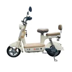 XE ĐẠP ĐIỆN SHUNQIHANG 350W MÀU TRẮNG, xe dap dien shunqihang 350w mau trang