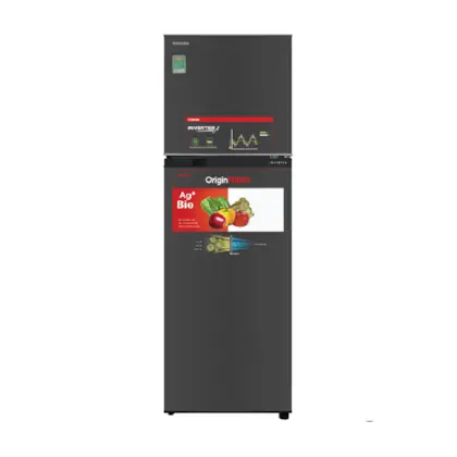 TỦ LẠNH TOSHIBA 2 CỬA  INVERTER 253L-B31VU(SK)