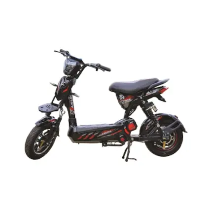 XE ĐẠP ĐIỆN ASUKA M133 PRO