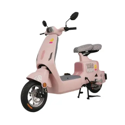 XE ĐẠP ĐIỆN TAILG GR55