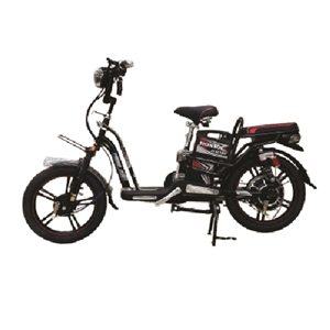 XE ĐẠP ĐIỆN HONDA RUBY, xe dap dien honda ruby