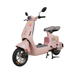 XE ĐẠP ĐIỆN TAILG GR55, xe dap dien tailg gr55