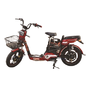 XE ĐẠP ĐIỆN DRACA A10, xe dap dien draca a10