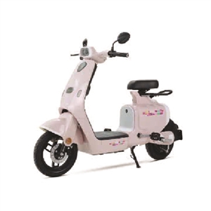 XE ĐẠP ĐIỆN DETECH ESPERO WEEZEE, xe dap dien detech espero weezee