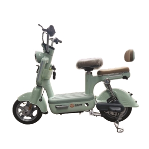 XE ĐẠP ĐIỆN SHUNQIHANG 350W MÀU XANH NGỌC, xe dap dien shunqihang 350w mau xanh ngoc