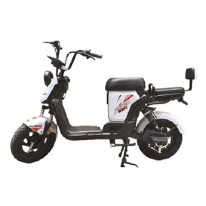 XE ĐẠP ĐIỆN DRACA S30, xe dap dien draca s30