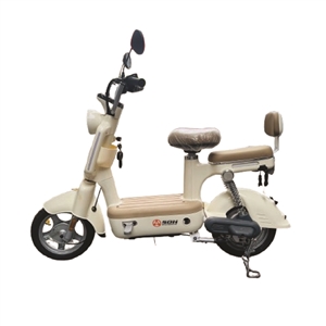 XE ĐẠP ĐIỆN SHUNQIHANG 350W MÀU TRẮNG, xe dap dien shunqihang 350w mau trang