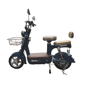 XE ĐẠP ĐIỆN SHUNQIHANG 350W MÀU XANH CỬU LONG, xe dap dien shunqihang 350w mau xanh cuu long